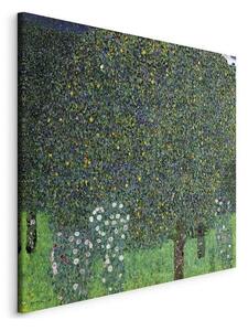Quadro - Roses Among the Trees