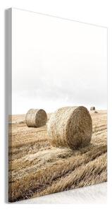 Quadro - Hay (1 Part) Vertical