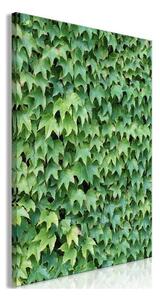 Quadro - Thick Ivy (1 Part) Vertical