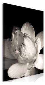 Quadro - Delicacy of Petals in Nature (1-part) - Flower in Black and White