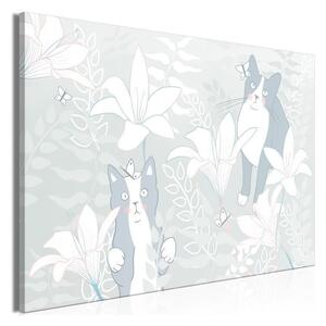 Quadro - Cat Matters (1 Part) Wide - First Variant