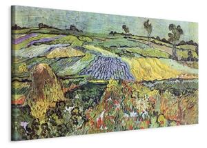 Quadro - Fields in Auvers