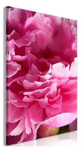 Quadro - Blossom of Beauty (1-part) - Pink Peony Flower Embraced by Nature