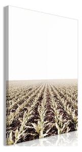 Quadro - Corn Field (1 Part) Vertical