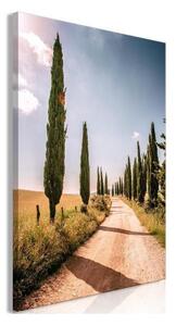 Quadro - Italian cypresses (1 Part) Vertical