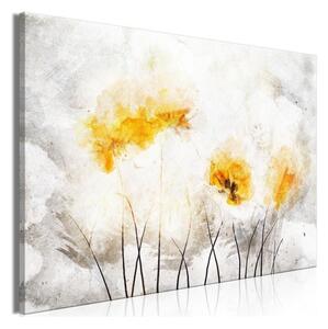 Quadro - Light Side of the Nature (1 Part) Wide