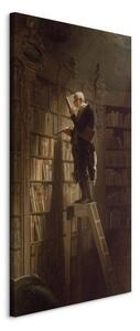 Quadro - The Bookworm
