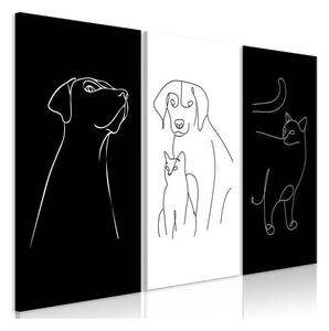 Quadro - Domestic Animals (3 Parts)