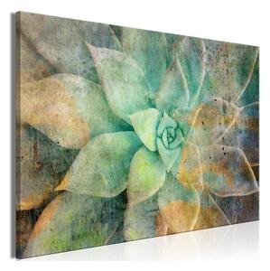 Quadro - Blooming Tones (1 Part) Wide