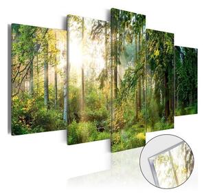 Quadro su vetro acrilico - Green Sanctuary