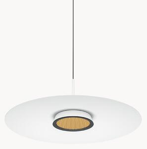 Lampada a sospensione a LED El