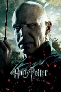 Stampa d'arte Voldemort, (26.7 x 40 cm)