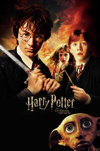 Stampa d'arte Harry Potter - Chamber of secrets