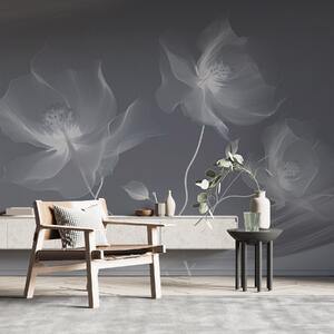 Carta da parati Tre graziosi fiori dai petali traslucidi, intrecciati con nastri di luce e vento, Carta da parati Acquerello, w01932v2 : Uwalls.it