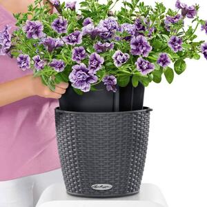 LECHUZA Fioriera Sospesa NIDO Cottage 28 ALL-IN-ONE Granito