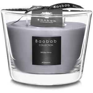 Baobab All Seasons White Rhino candela profumata 10 cm