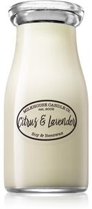 Milkhouse Candle Co. Creamery Citrus & Lavender candela profumata Milkbottle 227 g