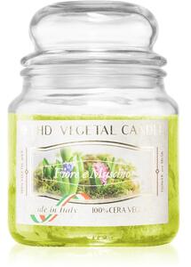 THD Vegetal Fiore E Muschio candela profumata 400 g