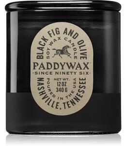 Paddywax Vista Black Fig & Olive candela profumata 340 g