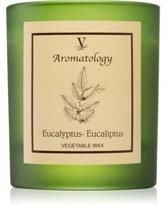 Vila Hermanos Aromatology Eucalyptus candela profumata 200 g