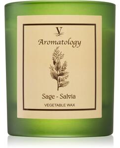 Vila Hermanos Aromatology Sage candela profumata 200 g