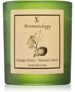 Vila Hermanos Aromatology Orange Cloves candela profumata 200 g