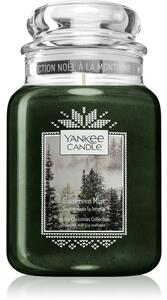 Yankee Candle Evergreen Mist candela profumata Classic piccola 623 g
