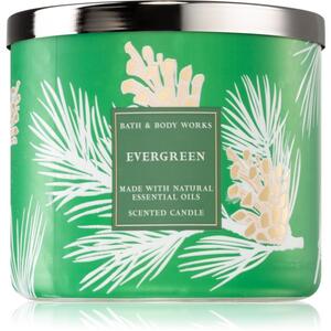 Bath & Body Works Evergreen candela profumata con oli essenziali 411 g