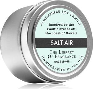 The Library of Fragrance Salt Air candela profumata 180 g