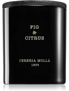 Cereria Mollá Boutique Fig & Citrus candela profumata 230 g