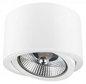 Applique da soffitto Orientabile per lampade AR111 - Bianco Colore del corpo Bianco