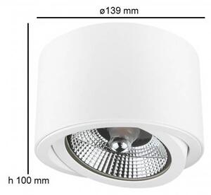 Applique da soffitto Orientabile per lampade AR111 - Bianco Colore del corpo Bianco