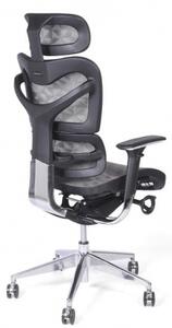 Sedia ergonomica da ufficio con supporto lombare, base con ruote-Arrediorg.it