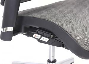 Poltrona per ufficio ergonomica anatomica colore grigio ERGO 600 -Arrediorg.it
