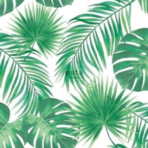 Carta da parati Jungle Foglie Tropicali verde, 53 cm x 10 m