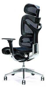 Sedia ergonomica ufficio 8 ore con supporto lombare colore blu-Arrediorg