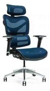Sedia ergonomica ufficio 8 ore con supporto lombare colore blu