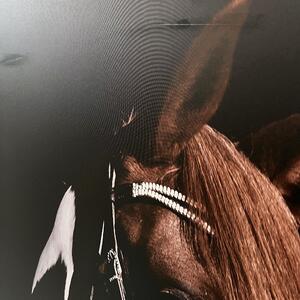A. House Quadro Cavallo in Tela con Cornice 103x143 cm Difettato