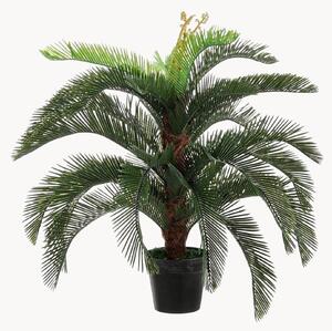 Pianta artificiale da esterno Palma Cycas, alt. 100 cm