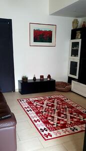 Zanetti Tappeto Kilim Rosso Antiscivolo e Lavabile in Lavatrice 80x150 cm