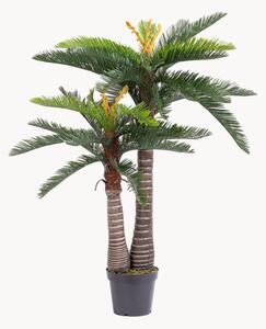 Pianta artificiale da esterno Cycas, alt. 150 cm