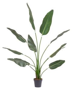 Pianta artificiale da esterno Strelitzia, alt. 180 cm