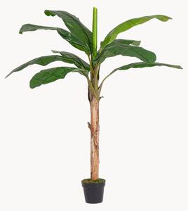 Pianta artificiale da esterno Banana, alt. 180 cm