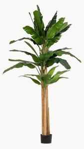 Pianta artificiale da esterno Banana, alt. 320 cm