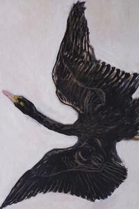 Stampa artistica The Black Swan 2 of 2 - Hilma af Klint, (26.7 x 40 cm)