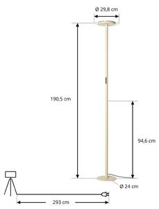 Lampada da terra Frile Arcchio, dimmerabile, Crema / Ambra, Soggiorno / Sala da pranzo, Alluminio, Moderno, Lampada da terra