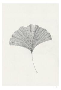 Poster 50x70 cm Ginkgo Leaf – Ana Frois – The Poster Club