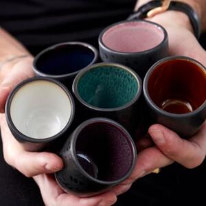 Set 6 Bicchierini Espresso in ceramica Dark interno colorato - Bitz