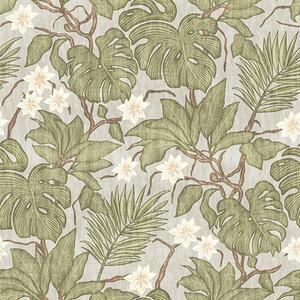 Carta da parati Foglie e fiori di monstera tropicale su sfondo grigio, Parati natura classici, Parati natura foglie classici, a00249 : Uwalls.it
