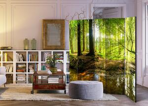 Paravento - Forest Lake II [Room Dividers] 225x172